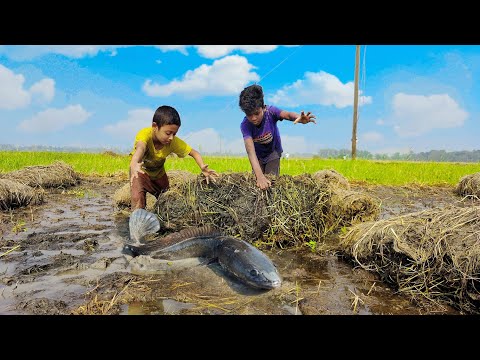 Big Catla Fish Hunting Video By Fish Watching