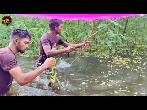 Unbelievable Drean Fishing Video In Rainy Season Best Cross