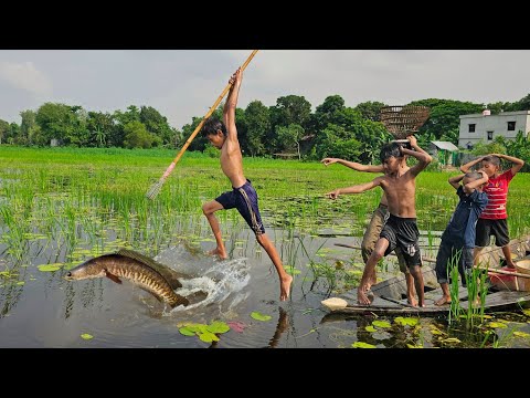 Village pro boys fish catching in natural place Best