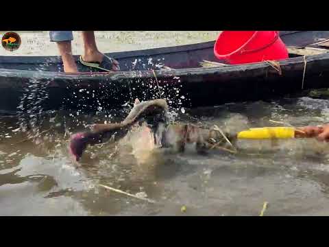 Amazing Boat Fishing Method Village Small Boy Boat Fishing