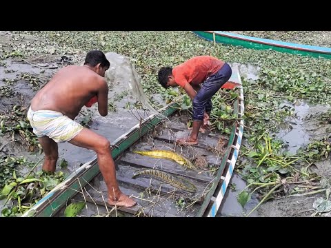Old Traditional Fishing Technique প র চ ন পদ ধত ত ন ক স চ দ