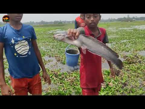 Village Beautiful Hand Fishing Video Really Amazing Village