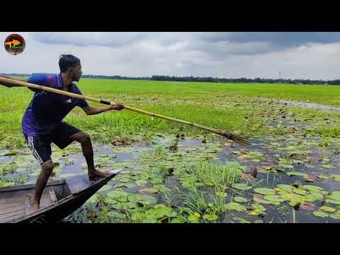 Bamboo Fish Traping by boat Big Fish Catching Technique