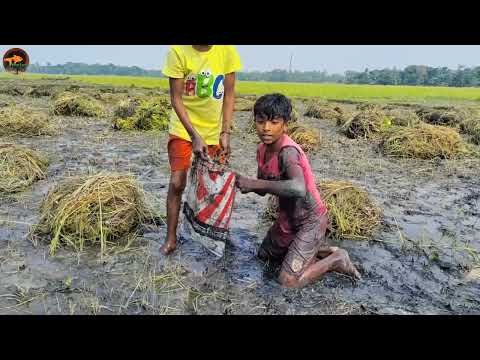 Amazing Big Fish Catching search catfish in Secret Big