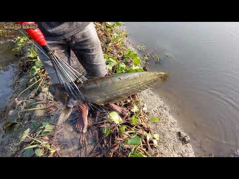 Fishing ট ট দ য় ব য় ল ম ছ শ ক র র অস ধ রণ ভ ড ও Big Boal