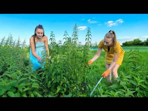 Country Food for the POOR Cooking Nettles With Chicken Eggs