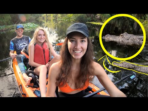 Underwater Metal Detecting with ALLIGATORS