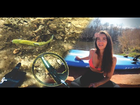 Metal Detecting a Trout filled Creek