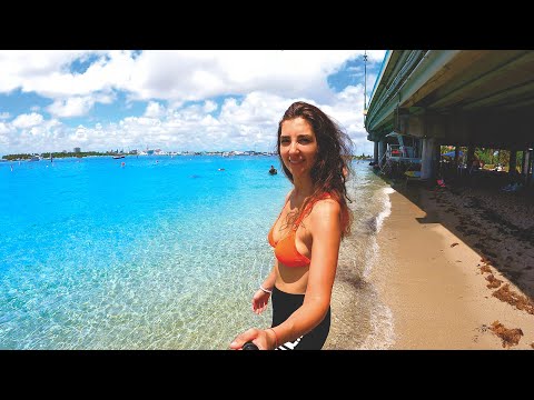Metal Detecting Blue Heron Bridge top shore dive in America