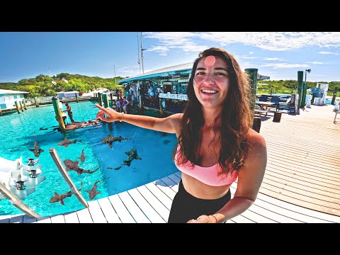 Treasure Hunting with 100 s of Sharks