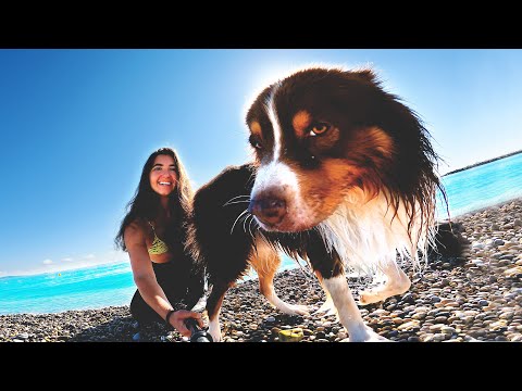 Metal Detecting a Pebble Beach