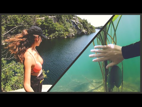 Treasure Diving a Popular NY Lake awesome finds
