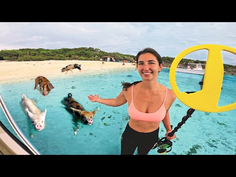 Underwater Metal Detecting with Swimming Pigs