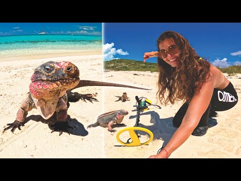 Metal Detecting Iguana Beach Awesome Finds