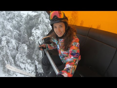 Answering your questions Q A with Nora Svet