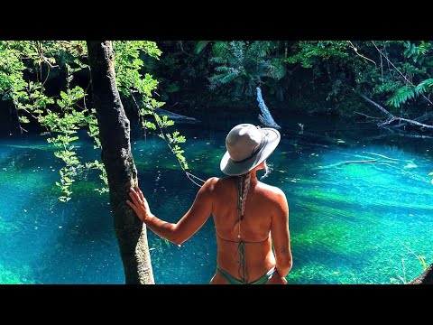 CAPE TRIBULATION solo adventure first YouTube video