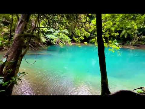 THE AUSTRALIAN TROPICS the bluest water holes and a beach