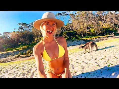 THE FREEDOM OF TRAVELLING AUSTRALIA last adventure in NSW