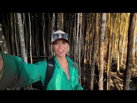 2 GIRLS HUNTING MUD CRABS MUDDY MANGROVE MISSION catch cook