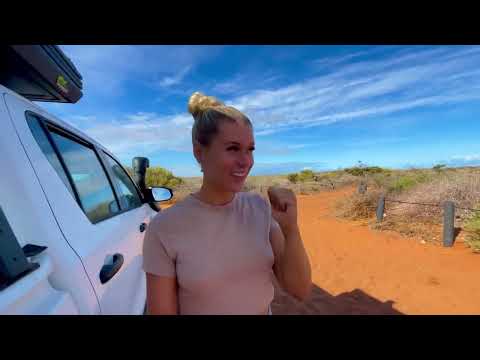 MY FAVOURITE SPOT SO FAR 4WD SOLO CAMP WITH DOLPHINS