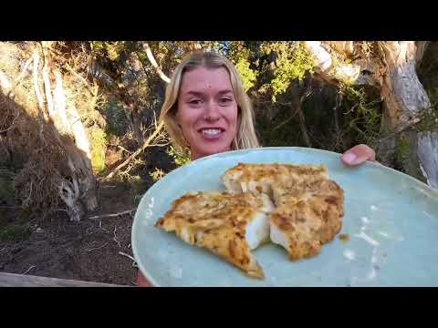 5 HOUR SOLO 4WD to remote paradise in Western Australia