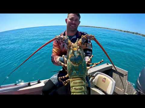 REMOTE ISLANDS SPEARFISHING CATCH COOK ABSOLUTE PARADISE