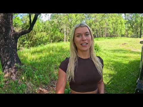 SOLO CAMPING IN THE MOUNTAINS my last adventure in QLD