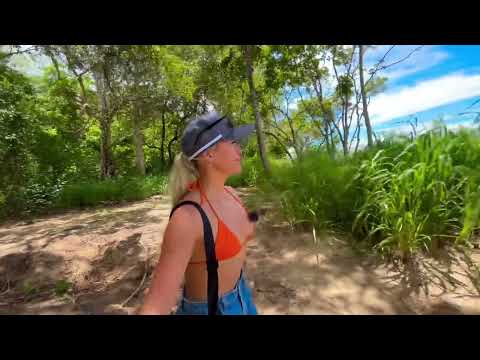 BACK IN TROPICAL FAR NORTH QUEENSLAND