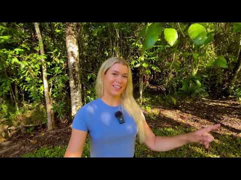 CAMPING ALONE IN A TROPICAL RAINFOREST