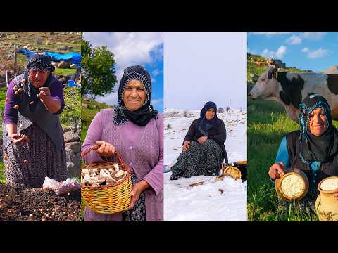 Dört Mevsim Yayla ve Dağ Hayatı 2 Taş Evde Yaşam