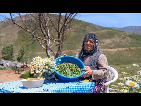 Dağ Hasadı Dağda Madımak Topladım ve Yemeğini Yaptım