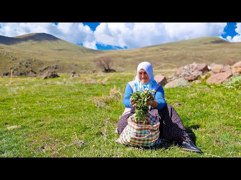 Yaylada Çeşitli Otlar Topladım Baharın Getirdiği Şifalar