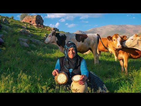 Aylarca Toprakta Gömülen Peynir Çömlekleri Dağda Peynir