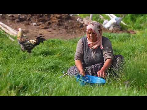 Taze Süt ve Tereyağı ile Lezzetli Azerbaycan Baklavası
