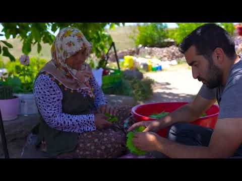 Bağdan Sofraya Lezzetli Yaprak Sarması Yaylada Kış İçin