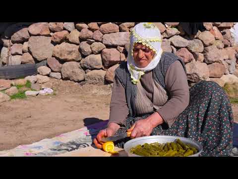 Yaylada Taze Yapraktan Sarma Yaptım