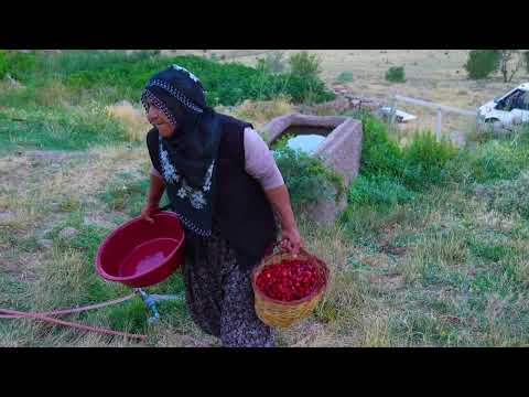 Yaylada Doğal Çilek Reçeli Yaptım Toruna Özel Çilekli Yoğurt