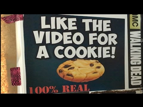 WHERE IS MY COOKIE