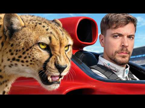 World s Fastest Car Vs Cheetah