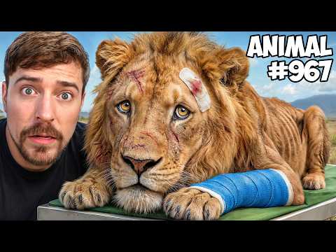 I Saved 1 000 Animals From Dying