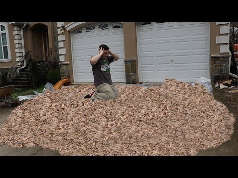 Giving 3 000 000 Pennies To My 3 000 000th Subscriber