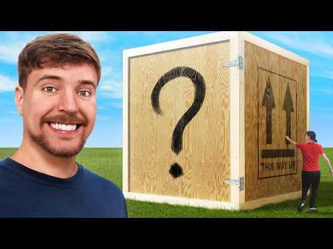 I Bought The World s Largest Mystery Box 500 000