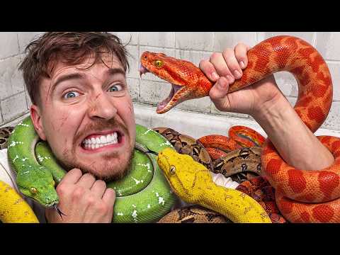 Would You Sit In Snakes For 10 000