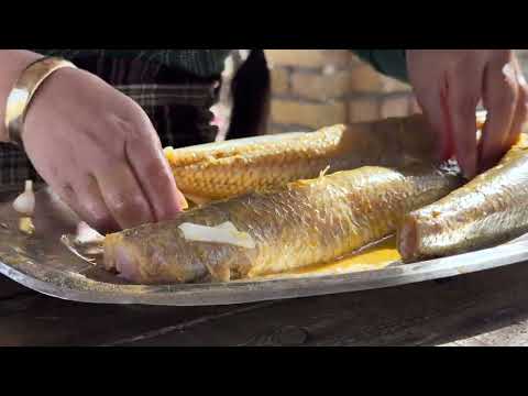 Cooking Delicious Grilled Fish Outdoors village cooking