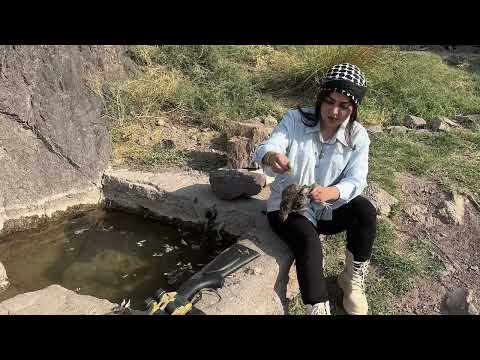 Quail Hunting with a Village Girl Real Rural Life