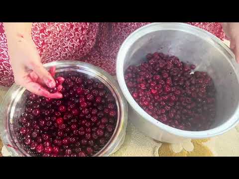 A village girl makes jam and syrup with handpicked cherries