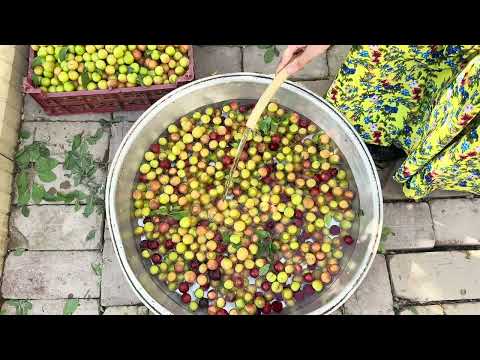 rural life The joy of cooking plum paste over the fire