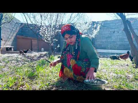 Grandma s Secret Beef Tripe Recipe Rural Life Rural Cooking