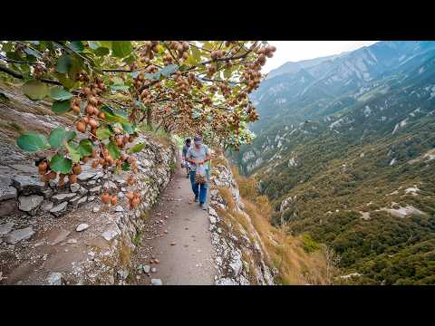 Elderly Couple s Dangerous 5 km Mountain Journey to Harvest