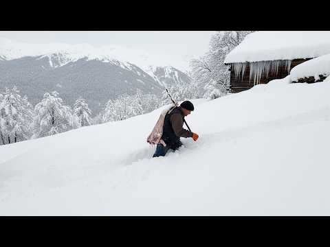 1 Meter Snowfall in Mountain Village 7Days Without Food